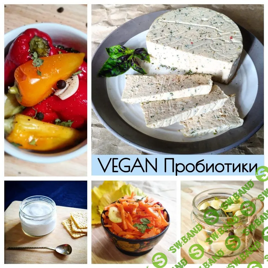[Vegan Cards] Vegan Пробиотики (2021)