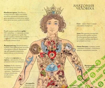 [Велимира] Оккультная анатомия. Часть 2 (2023)