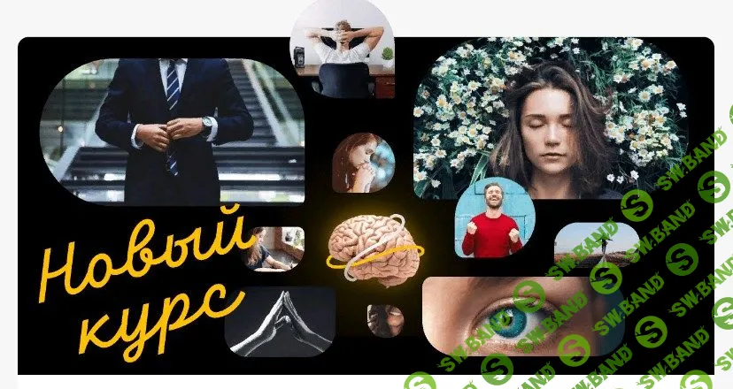 [Вера Толченникова] Как использовать возможности мозга (2021)