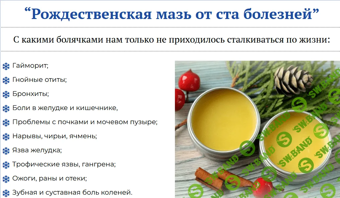 [Вера Войнова] Рождественская мазь от ста болезней (2022)