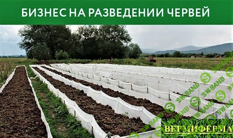 [Вермиферма] разведение червей и производство биогумуса (2021)