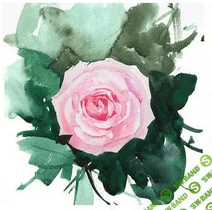 [Вероника Калачева] Нежная роза