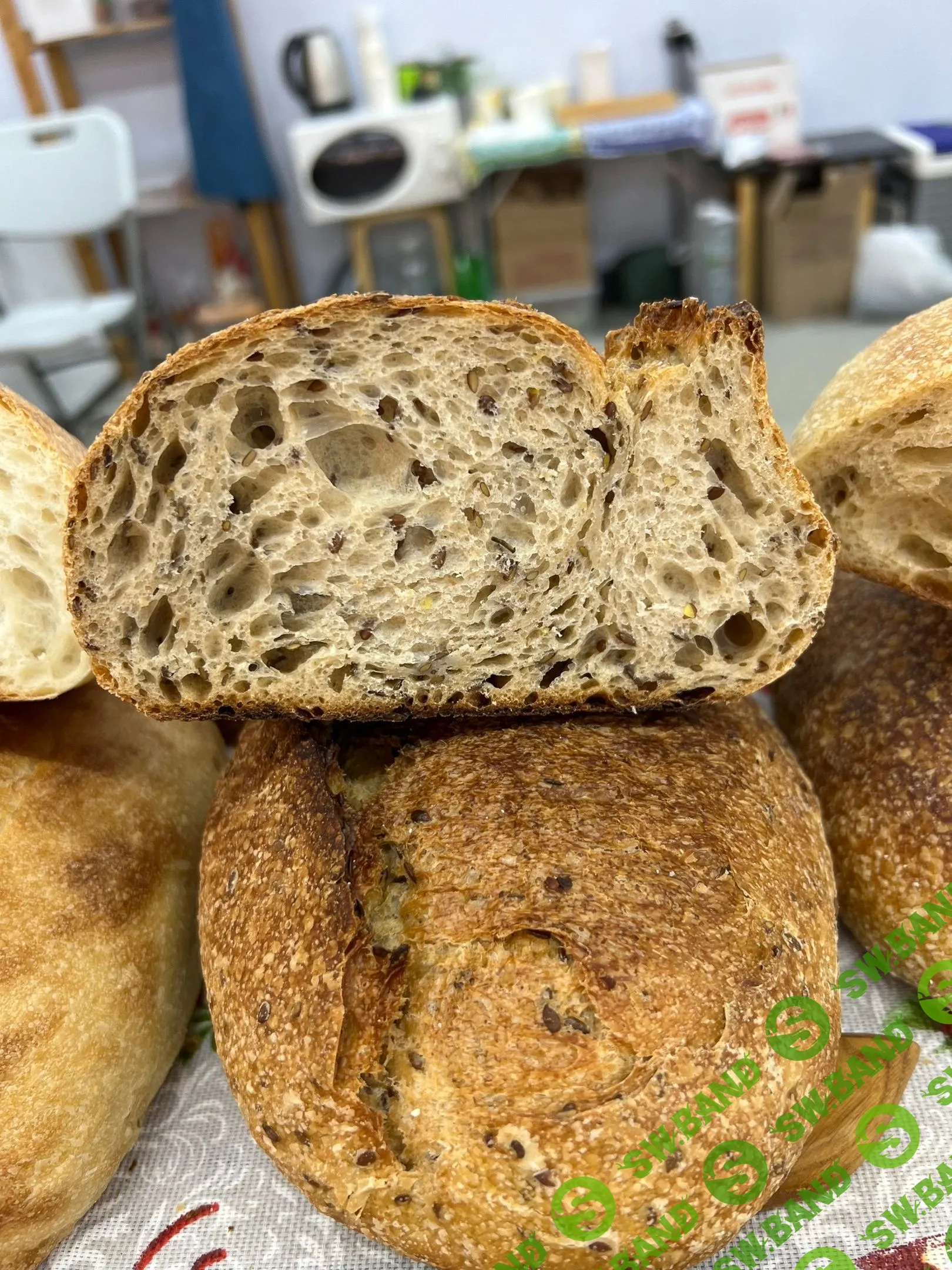 [Вероника Папкова] Цельнозерновой хлеб Лёнька (2024)