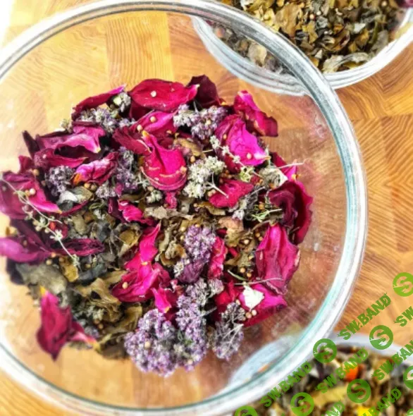 [Вероника Порсина] Ферментируем чай своими руками (2025)