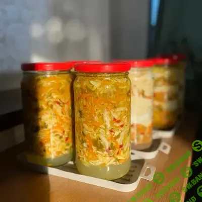 [Вероника Порсина] Польза ферментации для здоровья семьи (2025)