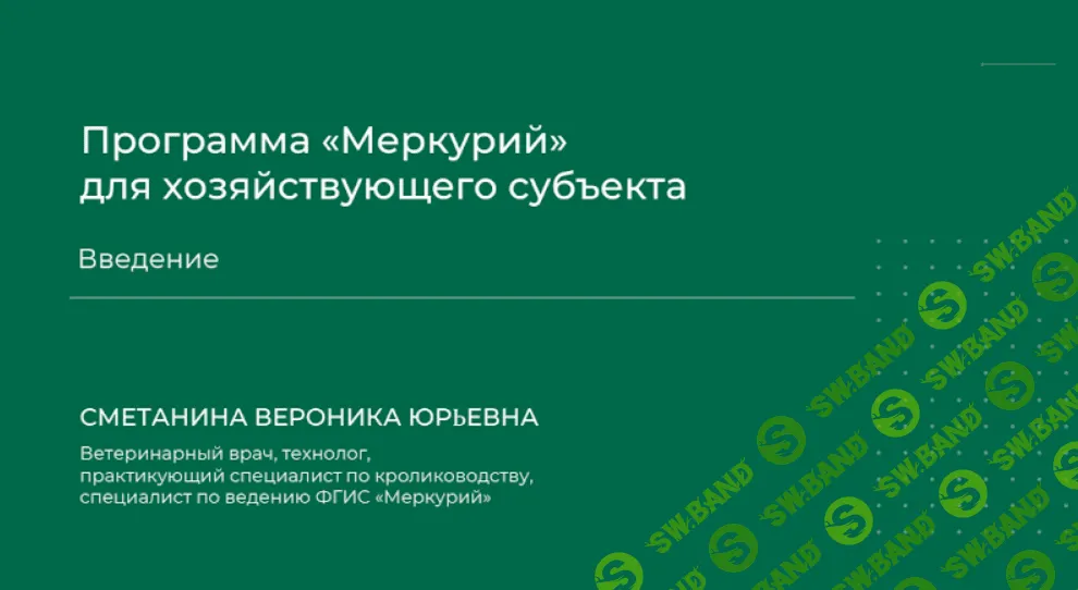 [Вероника Сметанина] Программа «Меркурий» для хозяйствующего субьекта. Введение (2023)