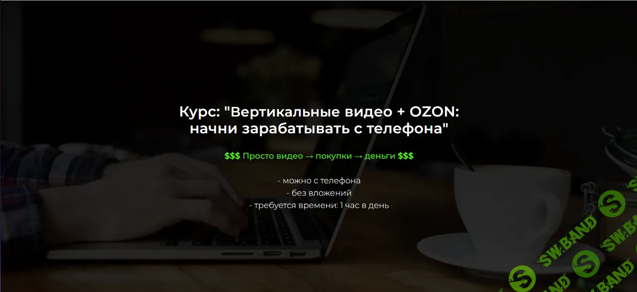 Вертикальные видео + OZON: начни зарабатывать с телефона [Александр Пуминов]