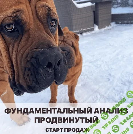 [Vesperfin] Арина Веспер - Фундаментальный анализ (2020)