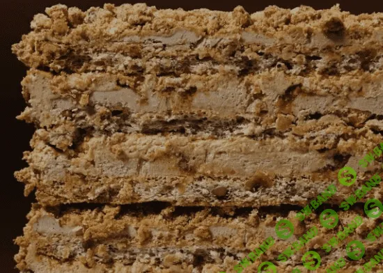 [Vicky School] Торт Киевский фундучный (2023)