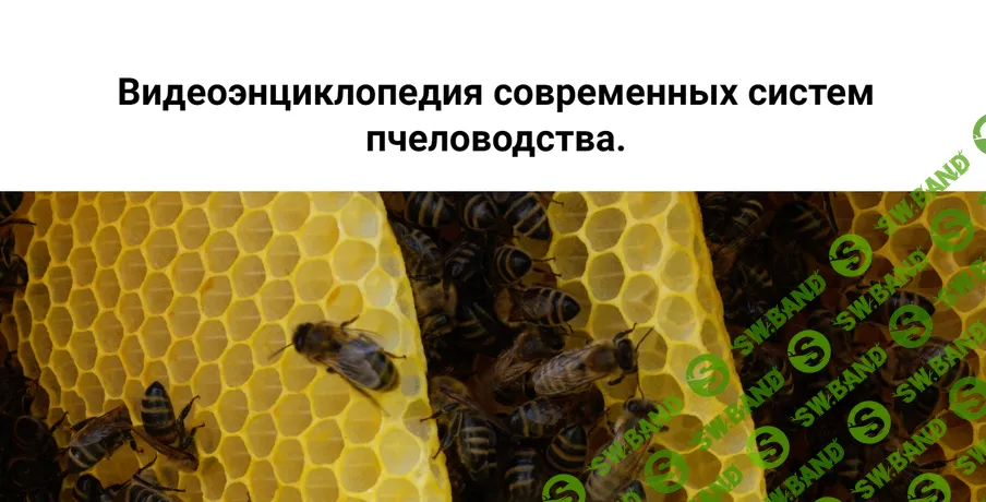 Видеоэнциклопедия современных систем пчеловодства [Сергей Дюкарев]
