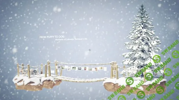 [videohive] Winter Tree Photo Gallery