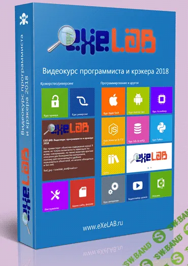Видеокурс программиста и крэкера от ExeLab. Апрель (2018)