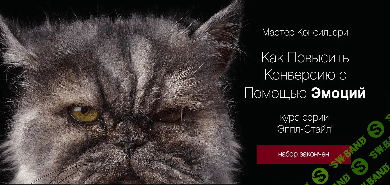 [Вик Орлов] Эмоции и повышение конверсии - Модуль 2