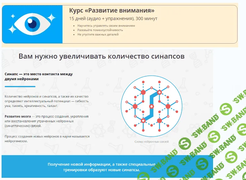 [Викиум] Развитие внимания