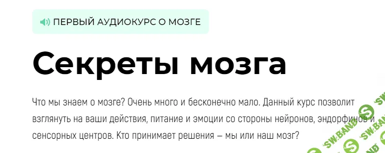 [Викиум] Секреты мозга (2023)