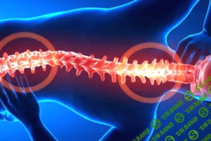 [Виктор Луганский] Как избавиться от боли в спине и шее. Движение, дыхание и питание