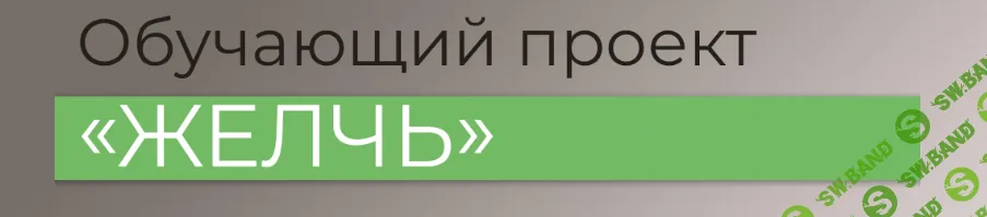 [Виктория Орлинская] Желчь (2024)