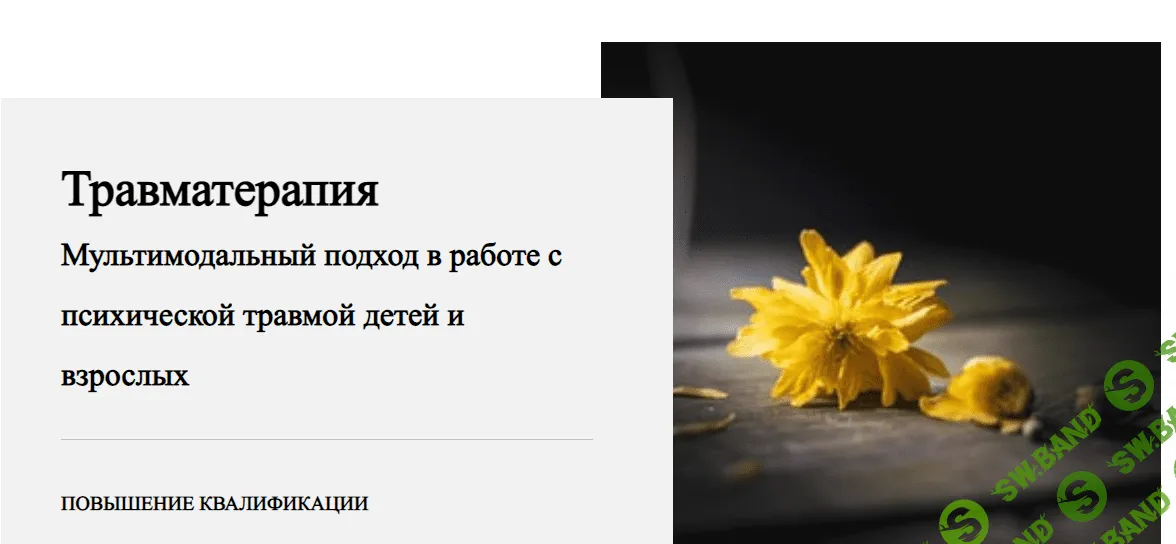 [Виктория Унтерова] Травматерапия. 1 модуль. Введение в кризисную психологию (2022)