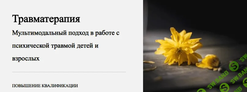 [Виктория Унтерова] Травматерапия. 4 модуль. Техники проживания травматических событий (2023)