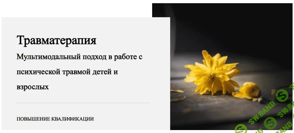 [Виктория Унтерова] Травматерапия. 9 модуль. Групповая терапия (2022)