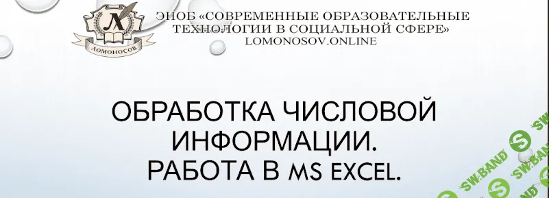 [Виолетта Берестова] Обработка числовой информации. Работа в MS Excel (2023)