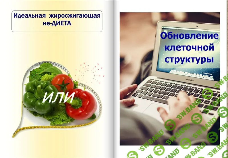[Виртуальный Лечебник XXI века] Идеальная жиросжигающая не-ДИЕТА или Обновление клеточной структуры