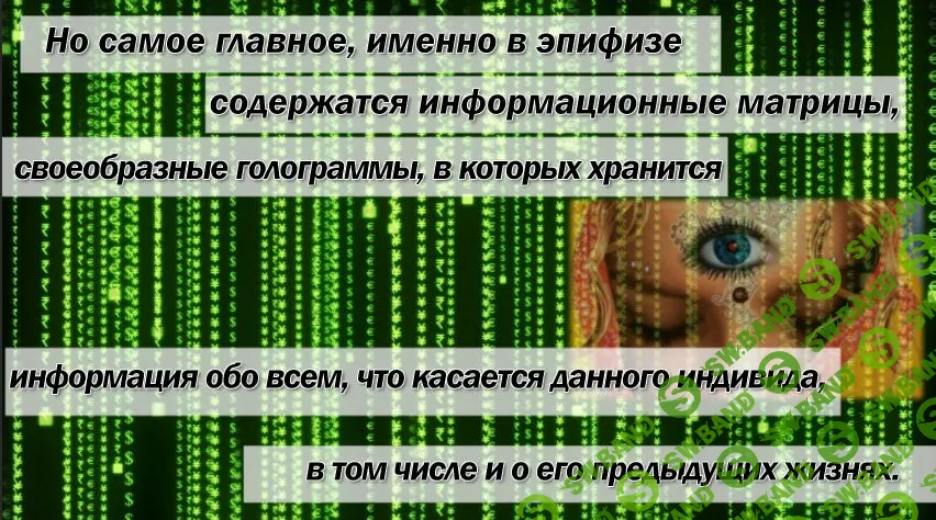 [Виртуальный Лечебник XXI века] Видеорегистратор нашей жизни или Почему всё тайное становится явным...