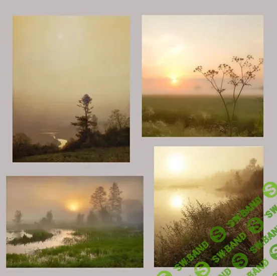 [Виталий Антипин] 4 состояния света (2025)