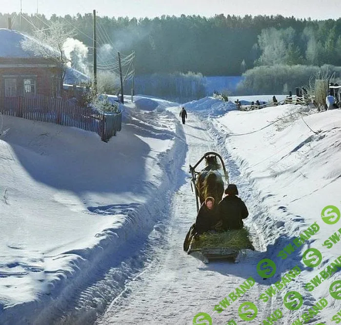 [Виталий Антипин] Основы зимнего пейзажа (2023)