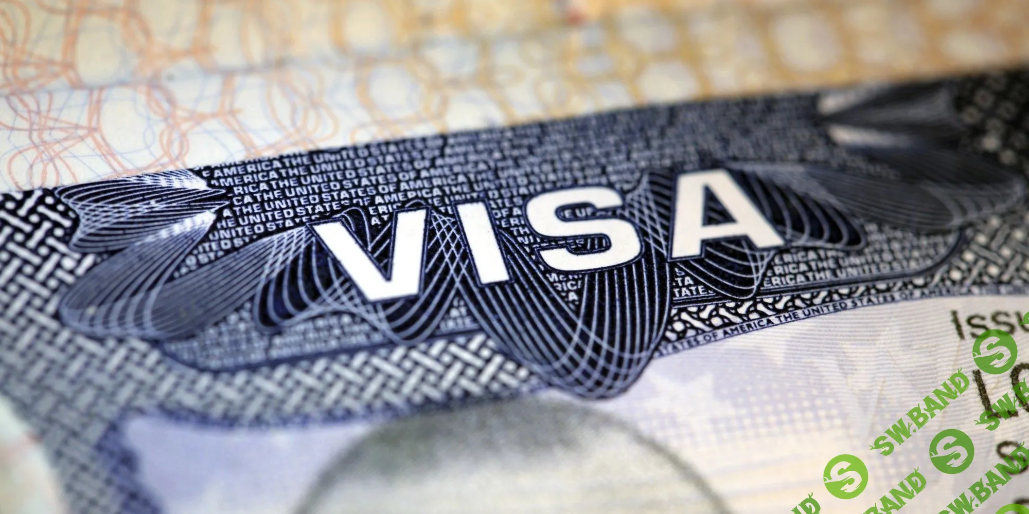 Визовый бизнес. Полное обучение без франшизы, с экономией до миллиона