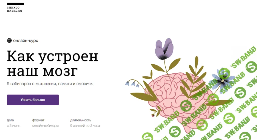 [Вячеслав Дубынин] Как устроен наш мозг (2020)