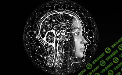 [Вячеслав Дубынин] Мозг человека: основные функции (2020)