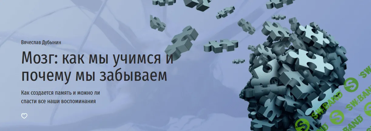 [Вячеслав Дубынин] Мозг: как мы учимся и почему мы забываем (2022)