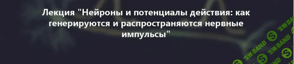 [Вячеслав Дубынин] Нейроны и потенциалы действия: как генерируются нервные импульсы (2019)