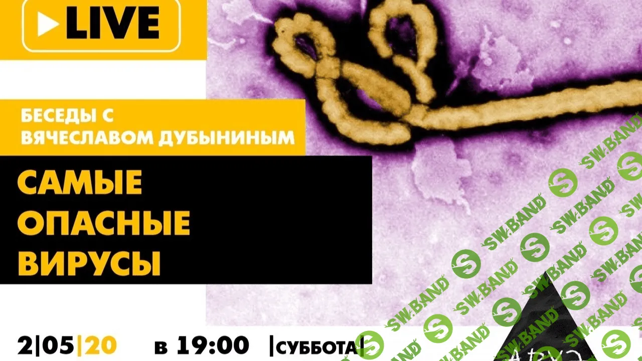[Вячеслав Дубынин] Самые опасные вирусы (оспа, Эбола и др.) (2020)