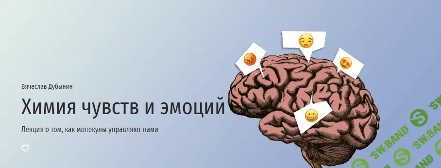 [Вячеслав Дубынин] Химия чувств и эмоций (2022)