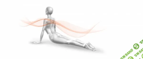 [Вячеслав Смирнов] Позвоночник PRO