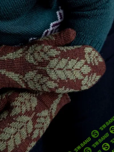 [Вязание] Двойные варежки спицами Beware the Frogs [Anna Johanna] [вяжи.ру]