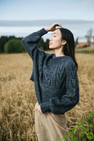 [Вязание] Пуловер с косами на круглой кокетке Snowy Forest [Вяжи.ру]