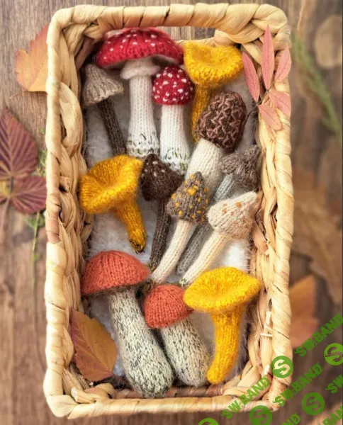 [Вязаные игрушки] Грибная коллекция [Тётушка Чарли]