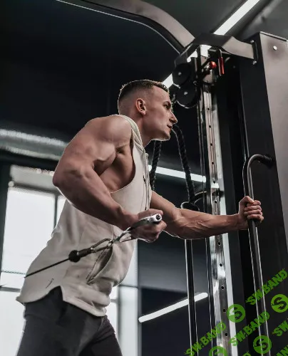 [Влад Литвиненко] Программа тренировок - Рост мышечной массы (2022)