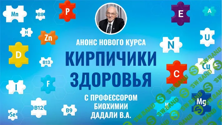 [Владимир Дадали] Кирпичики здоровья (2024)