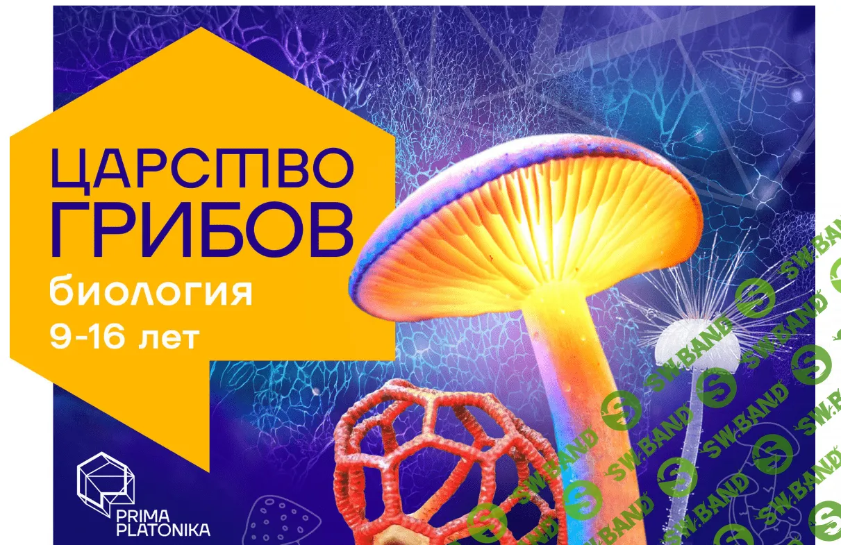 [Владимир Гмошинский] Царство грибов. Курс о самых необычных организмах на планете Prima Platonika (2023)