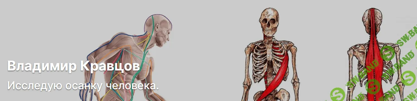 [Владимир Кравцов] Исправляем кривые ноги (2023)