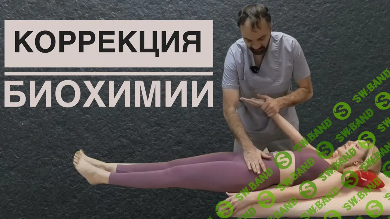 [Владимир Лавренов] Биохимическая коррекция в практике кинезиолога (2021)