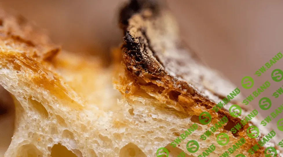 [Владимир Лунин] Пшеничные хлеба на закваске (2022)