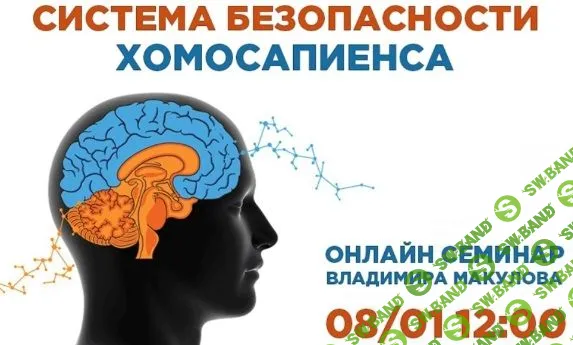 [Владимир Макулов] Система безопасности хомосапиенса (2024)