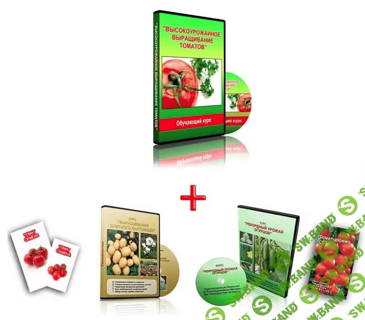 [Владимир Матвеев] Высокоурожайное Выращивание Томатов + Огурцы + Картофель (2021)