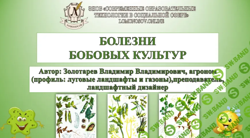 [Владимир Золотарев] Болезни бобовых культур (2024)