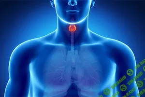 Возможности Су Джок терапии и традиционной китайской медицины в эндокринологии. (2020) Занятие № 1